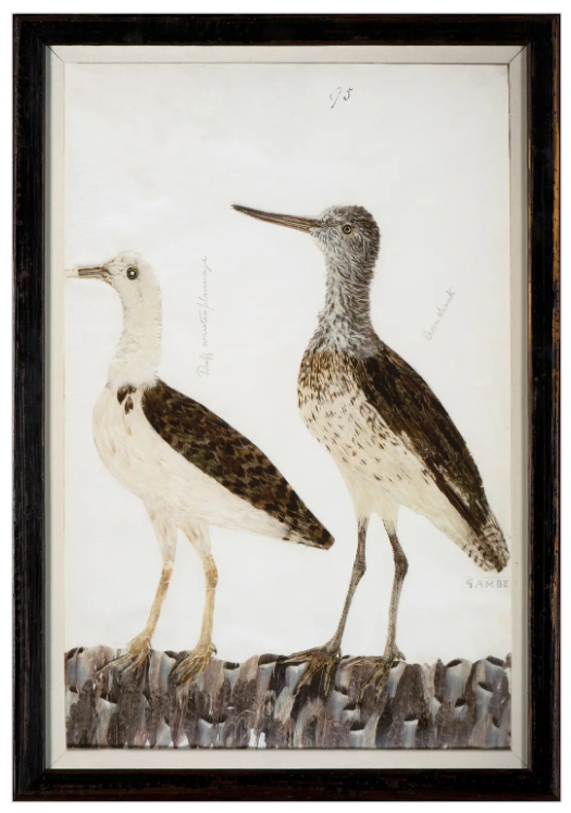 Minaggio Plate 95