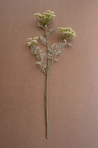 Lace Flower Spray