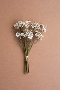 Chamomile Bundle