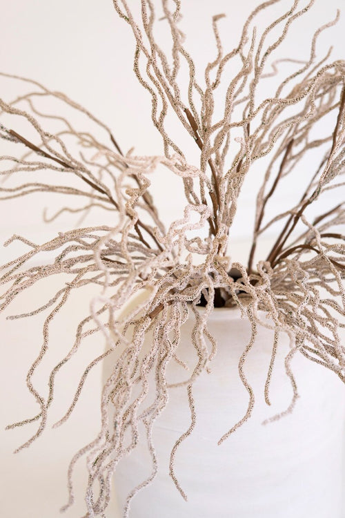 Botanica 9009