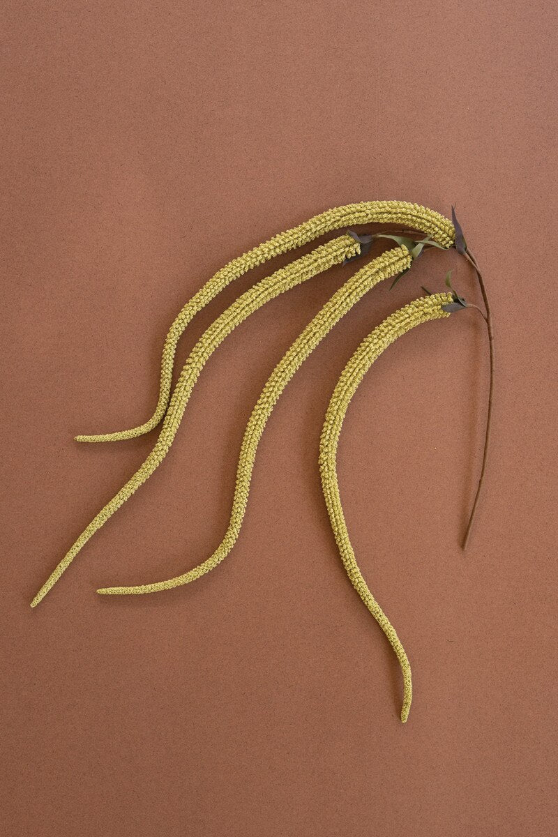 Botanica 9029