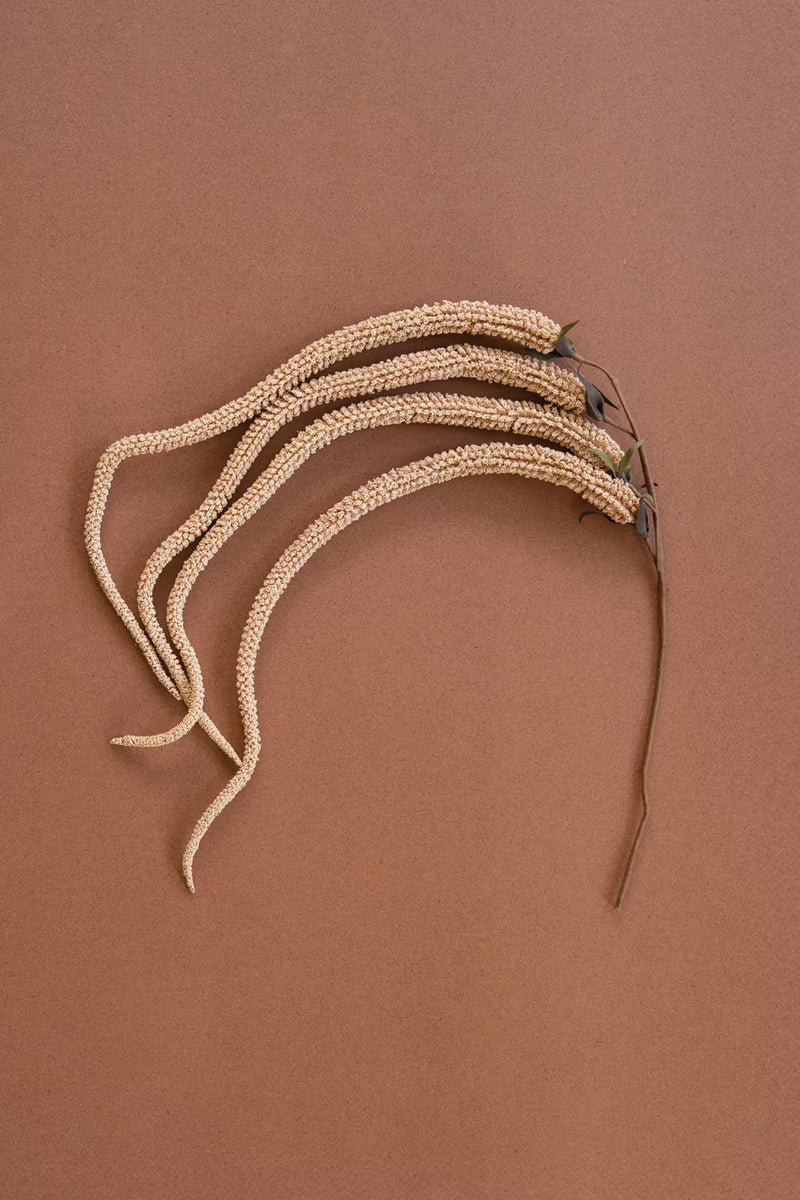 Botanica 9031