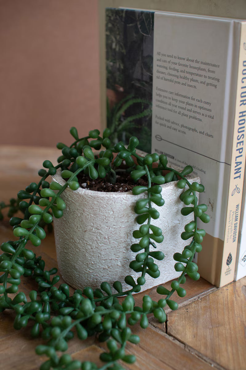 Concrete Bookend Planters S/2