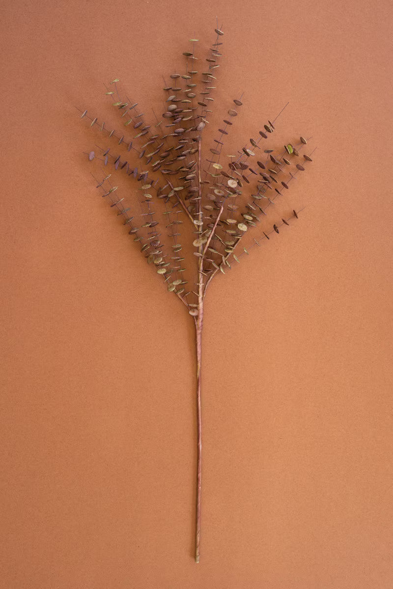 Botanica 850