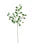 Botanica 3508 Stem