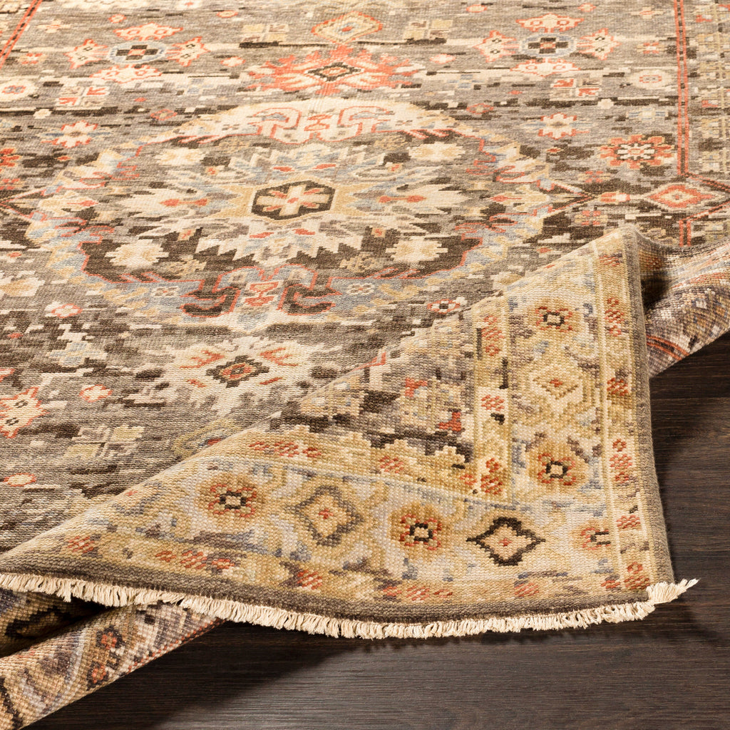 S- CPP5029 6x9 Rug