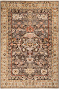 S- CPP5029 6x9 Rug