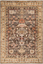 S- CPP5029 6x9 Rug