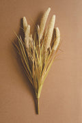 Feather grass Stem