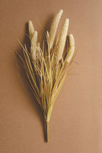 Feather grass Stem