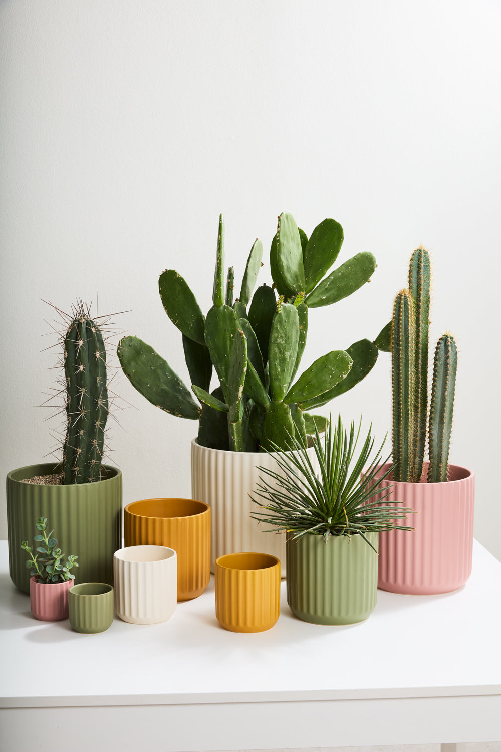 Beam Pot  sm