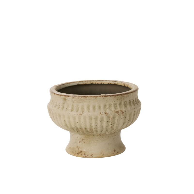 Cadmus Compote
