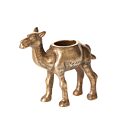 Camel planter