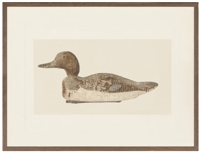 Northern Decoy