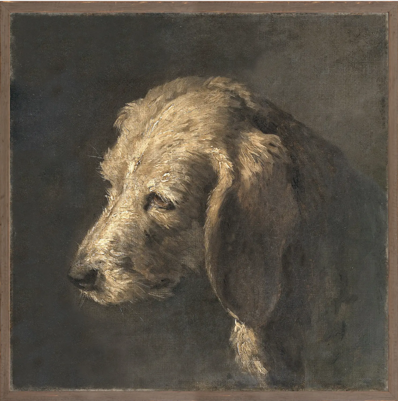 Northern Portrait