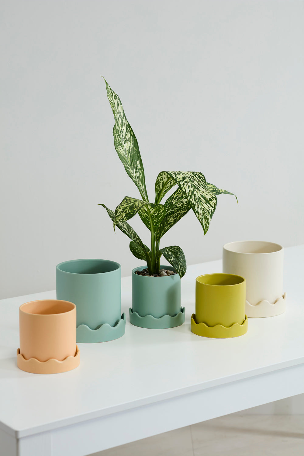 Pissaro Pot 2