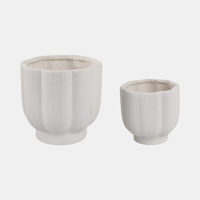 Scallop Bowl -s